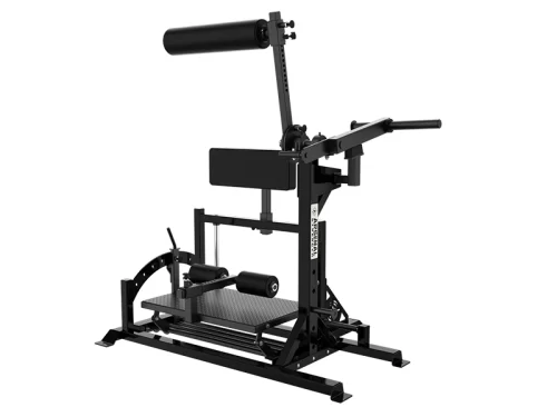 RELOADED POSTERIOR CHAIN DEVELOPER