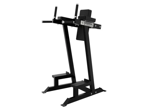 ALPHA VERTICAL KNEE RAISE/DIP STATION