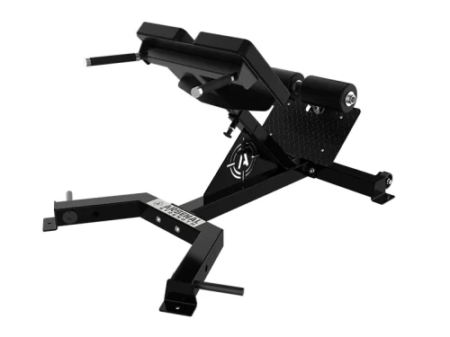 ALPHA 45 DEGREE BACK EXTENSION